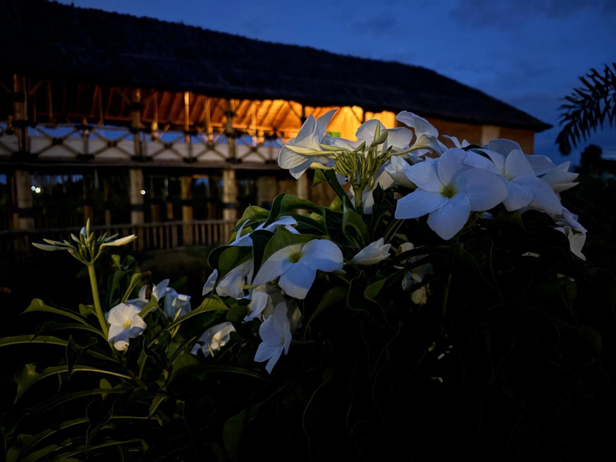 Mowgli'S Cafe Hampi & Guest House 外观 照片