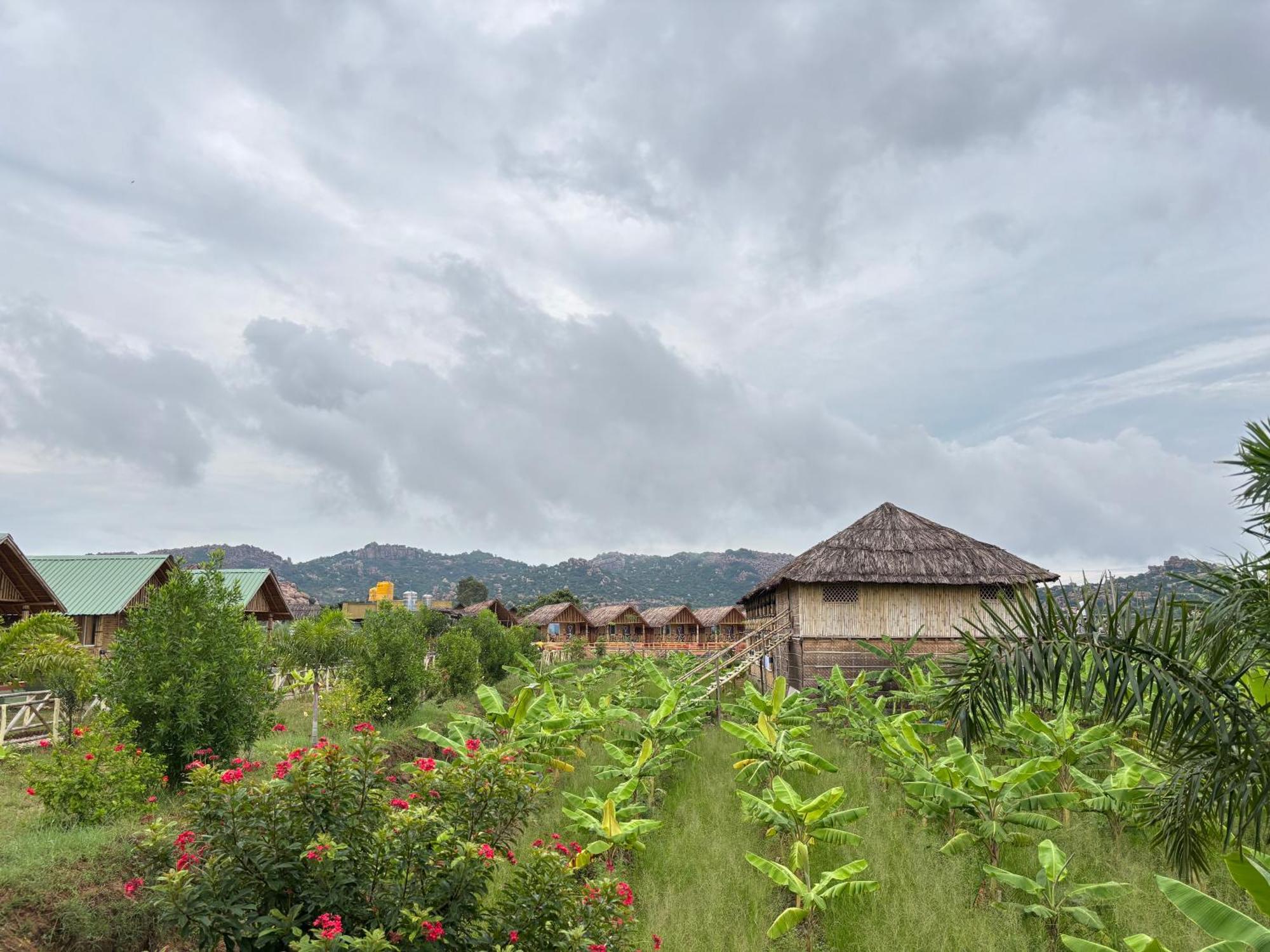 Mowgli'S Cafe Hampi & Guest House 外观 照片