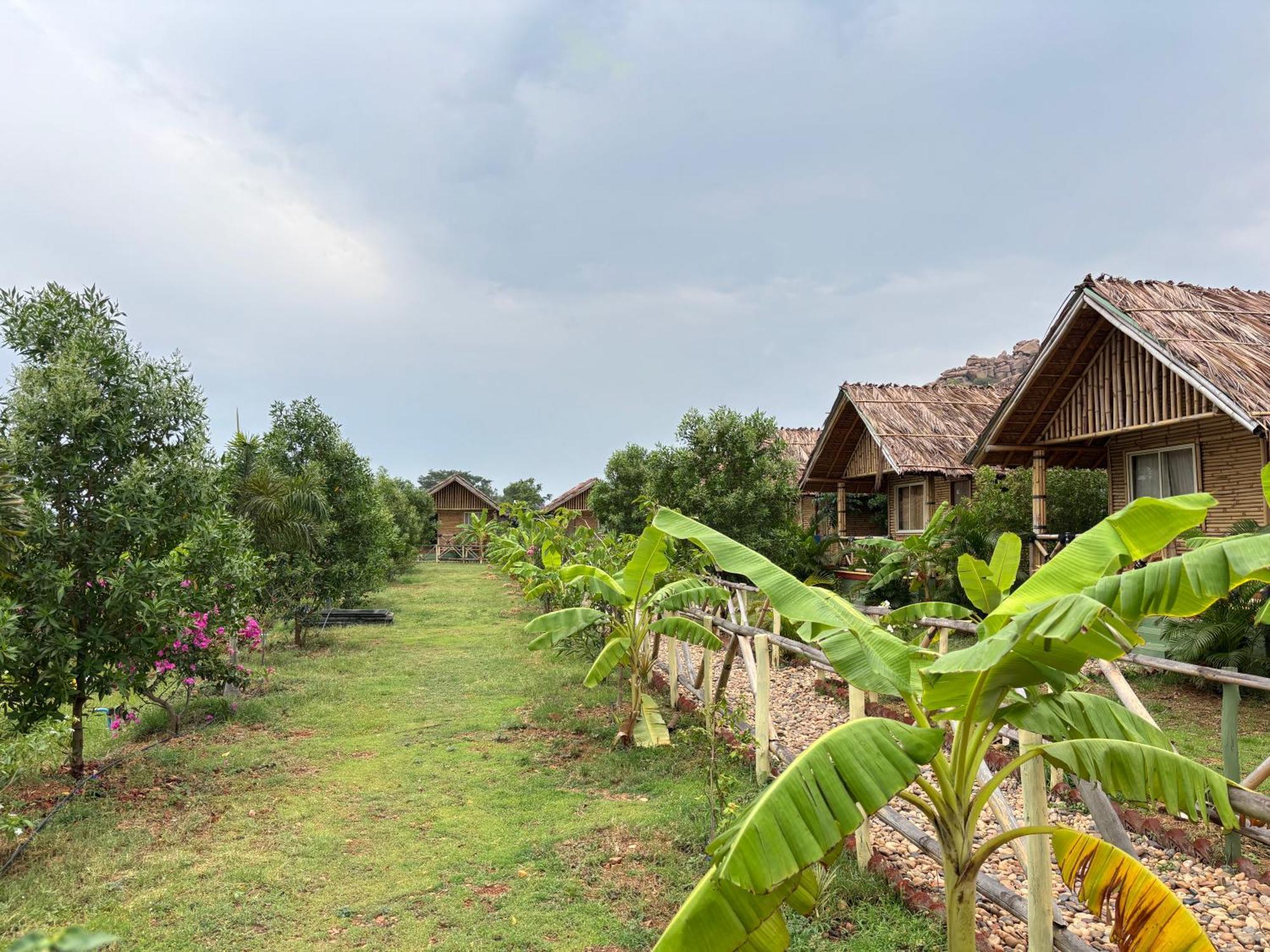 Mowgli'S Cafe Hampi & Guest House 外观 照片